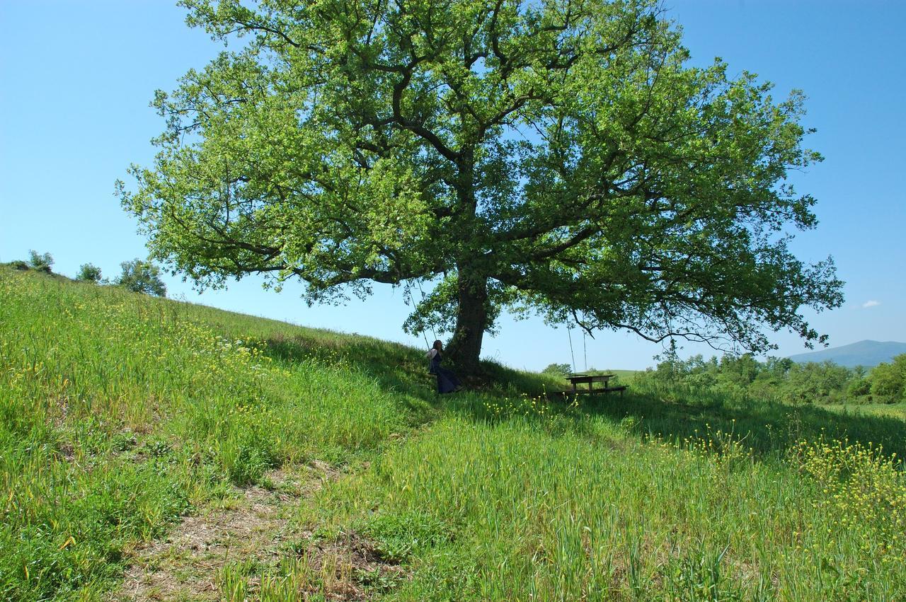 Podere Santa Maria Monte Antico Eksteriør billede